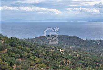 ÇANAKKALE AYVACIK DEMİRCİ KÖYÜ SATILIK 5819M2 TARLA