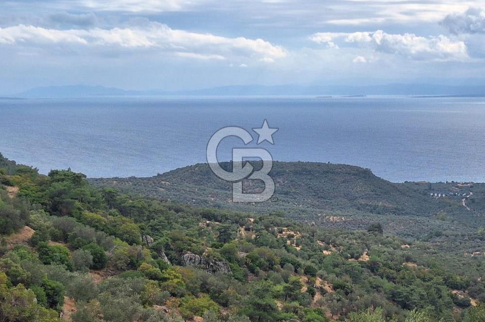 ÇANAKKALE AYVACIK DEMİRCİ KÖYÜ SATILIK 5819M2 TARLA