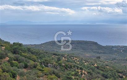 ÇANAKKALE AYVACIK DEMİRCİ KÖYÜ SATILIK 5819M2 TARLA