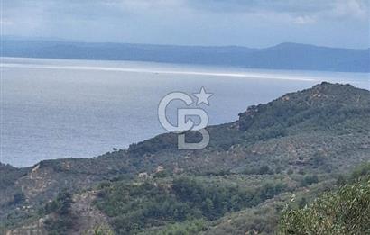 ÇANAKKALE AYVACIK DEMİRCİ KÖYÜ SATILIK 5819M2 TARLA