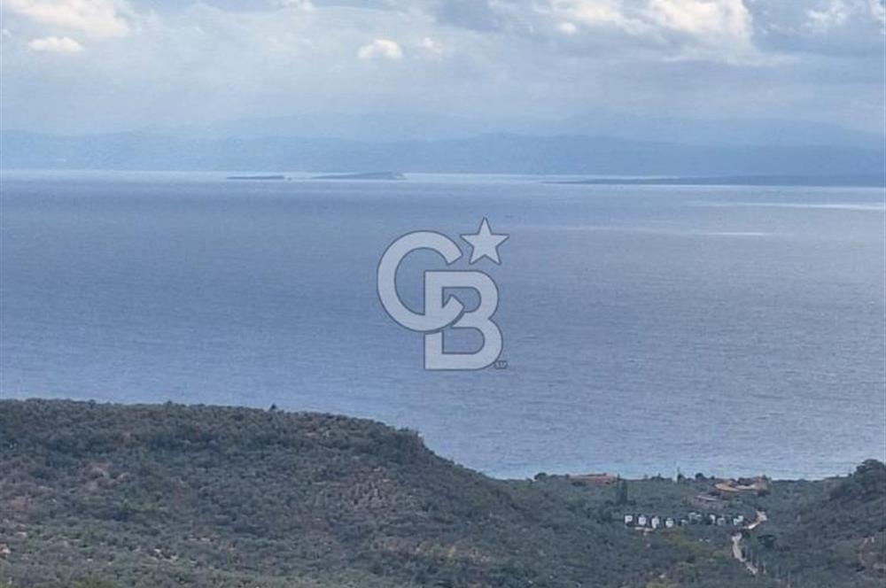 ÇANAKKALE AYVACIK DEMİRCİ KÖYÜ SATILIK 5819M2 TARLA