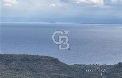 ÇANAKKALE AYVACIK DEMİRCİ KÖYÜ SATILIK 5819M2 TARLA