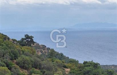 ÇANAKKALE AYVACIK DEMİRCİ KÖYÜ SATILIK 5819M2 TARLA