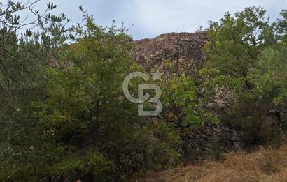 ÇANAKKALE AYVACIK DEMİRCİ KÖYÜ SATILIK 5819M2 TARLA