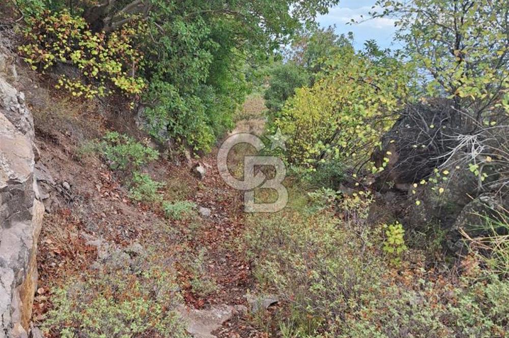 ÇANAKKALE AYVACIK DEMİRCİ KÖYÜ SATILIK 5819M2 TARLA