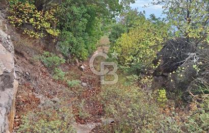 ÇANAKKALE AYVACIK DEMİRCİ KÖYÜ SATILIK 5819M2 TARLA