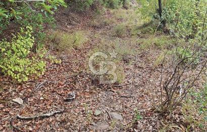ÇANAKKALE AYVACIK DEMİRCİ KÖYÜ SATILIK 5819M2 TARLA