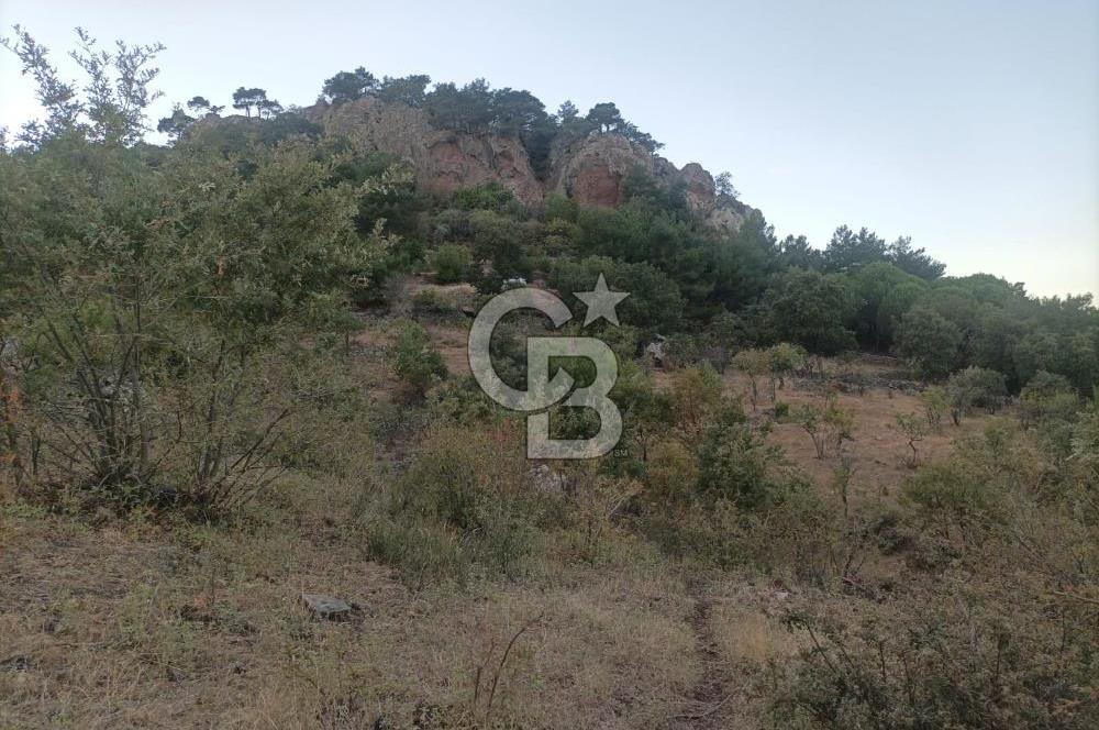 ÇANAKKALE AYVACIK AHMETÇE KÖYÜNDE SATILIK 15201M2 TEKTAPU İMARLI