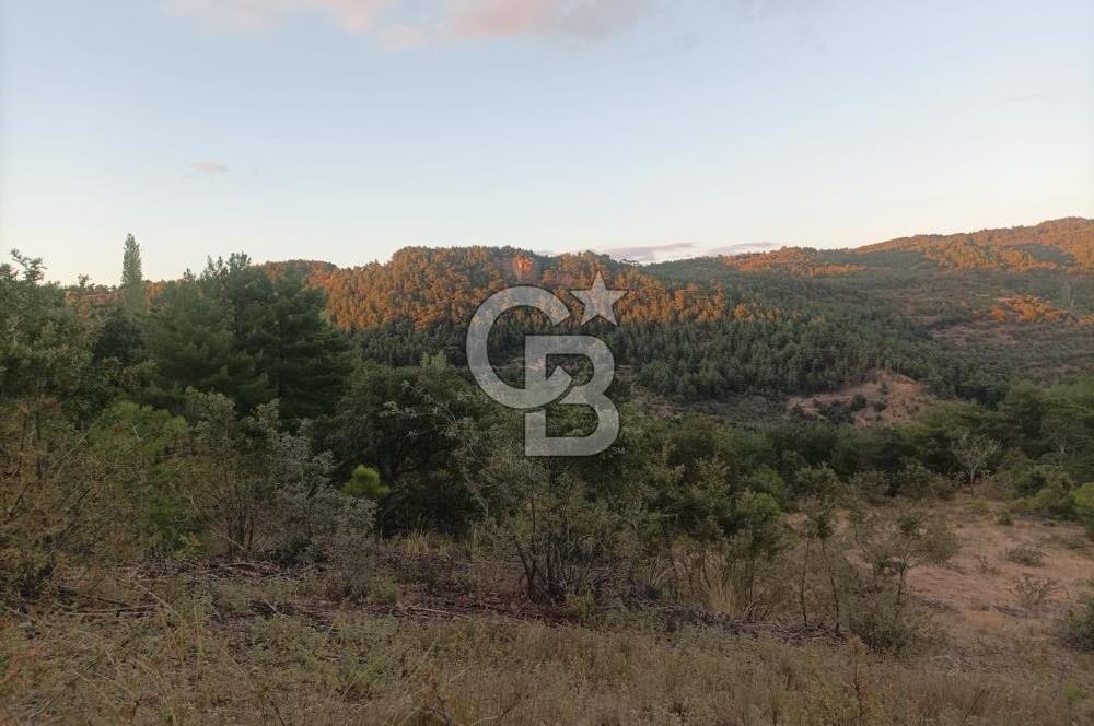ÇANAKKALE AYVACIK AHMETÇE KÖYÜNDE SATILIK 15201M2 TEKTAPU İMARLI