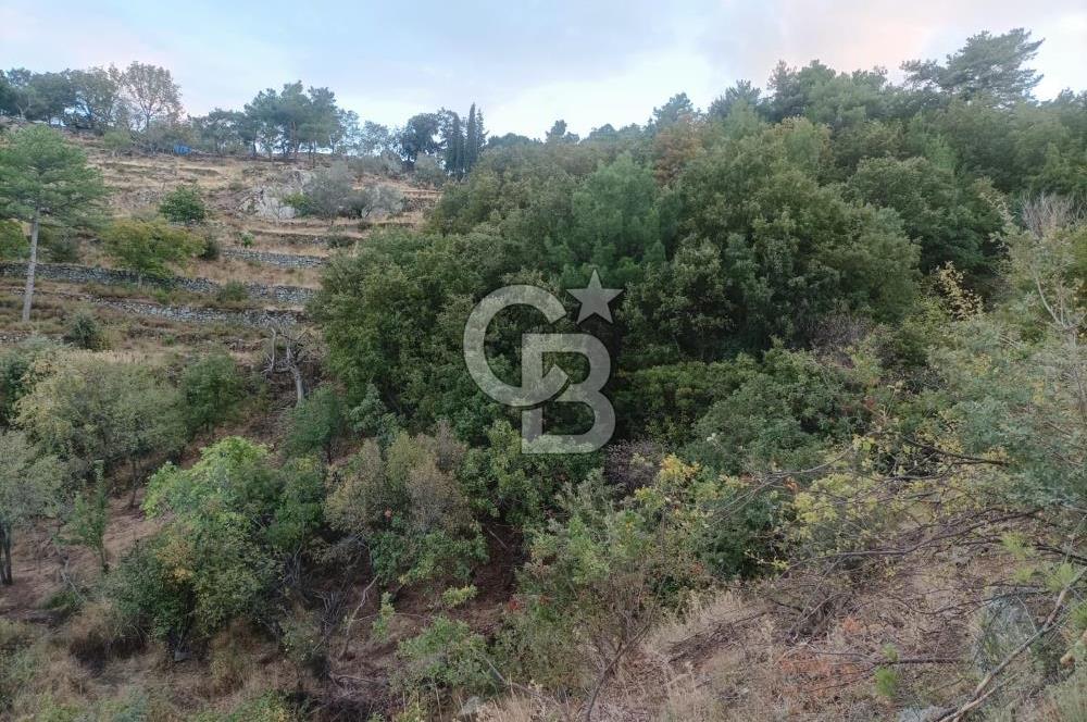 ÇANAKKALE AYVACIK AHMETÇE KÖYÜNDE SATILIK 15201M2 TEKTAPU İMARLI