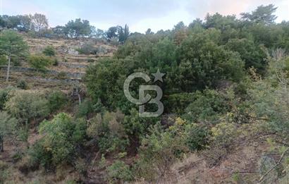 ÇANAKKALE AYVACIK AHMETÇE KÖYÜNDE SATILIK 15201M2 TEKTAPU İMARLI