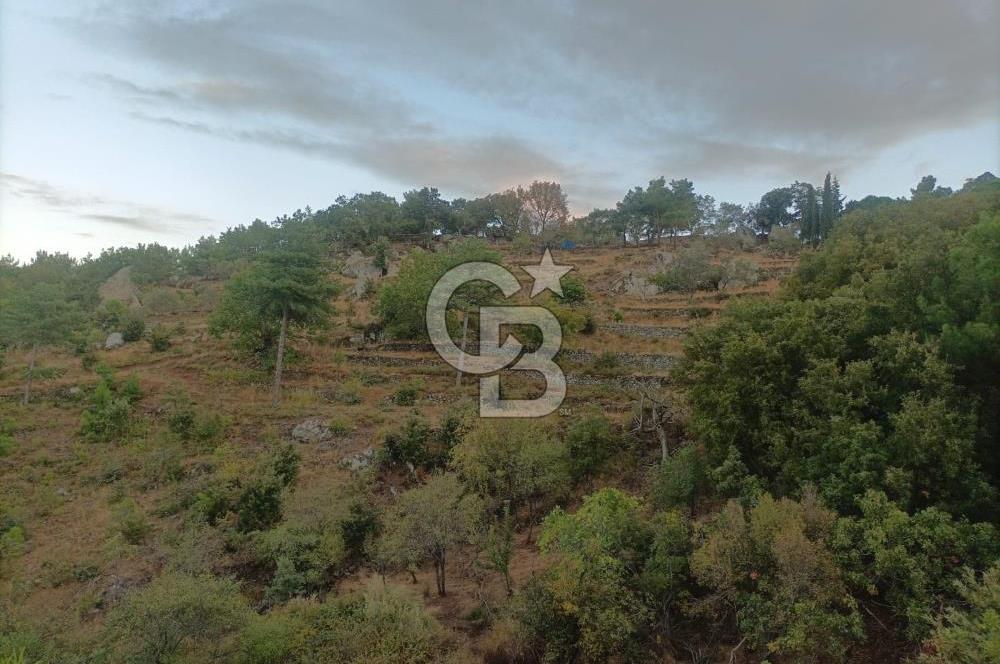 ÇANAKKALE AYVACIK AHMETÇE KÖYÜNDE SATILIK 15201M2 TEKTAPU İMARLI
