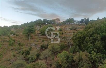 ÇANAKKALE AYVACIK AHMETÇE KÖYÜNDE SATILIK 15201M2 TEKTAPU İMARLI