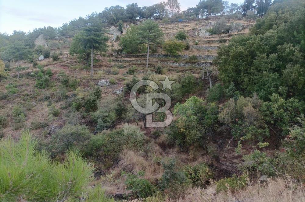 ÇANAKKALE AYVACIK AHMETÇE KÖYÜNDE SATILIK 15201M2 TEKTAPU İMARLI