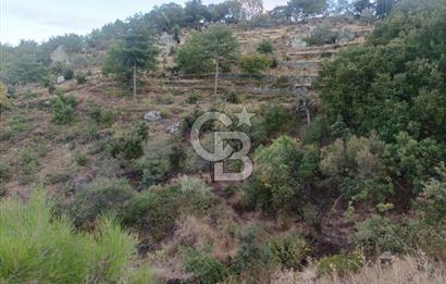ÇANAKKALE AYVACIK AHMETÇE KÖYÜNDE SATILIK 15201M2 TEKTAPU İMARLI