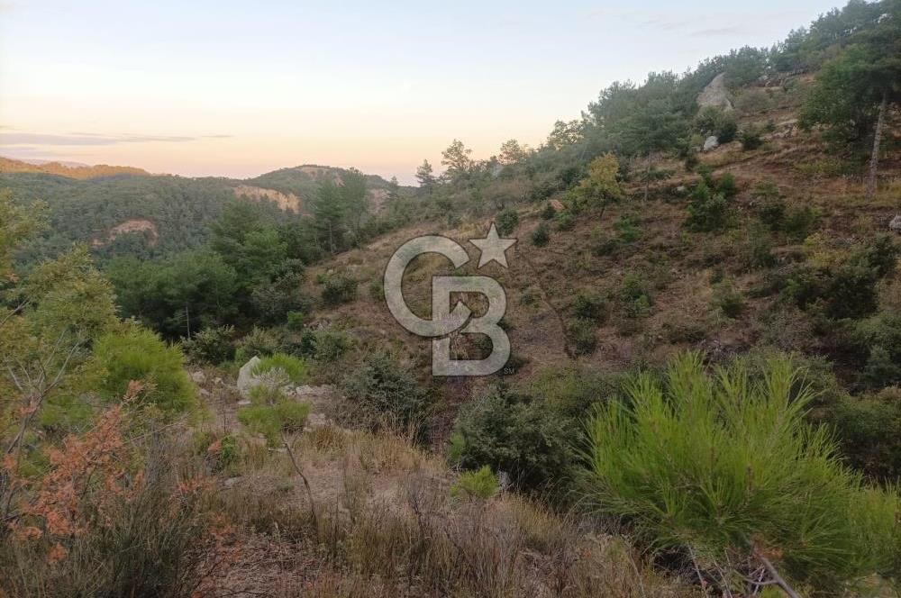 ÇANAKKALE AYVACIK AHMETÇE KÖYÜNDE SATILIK 15201M2 TEKTAPU İMARLI