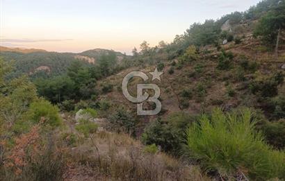 ÇANAKKALE AYVACIK AHMETÇE KÖYÜNDE SATILIK 15201M2 TEKTAPU İMARLI