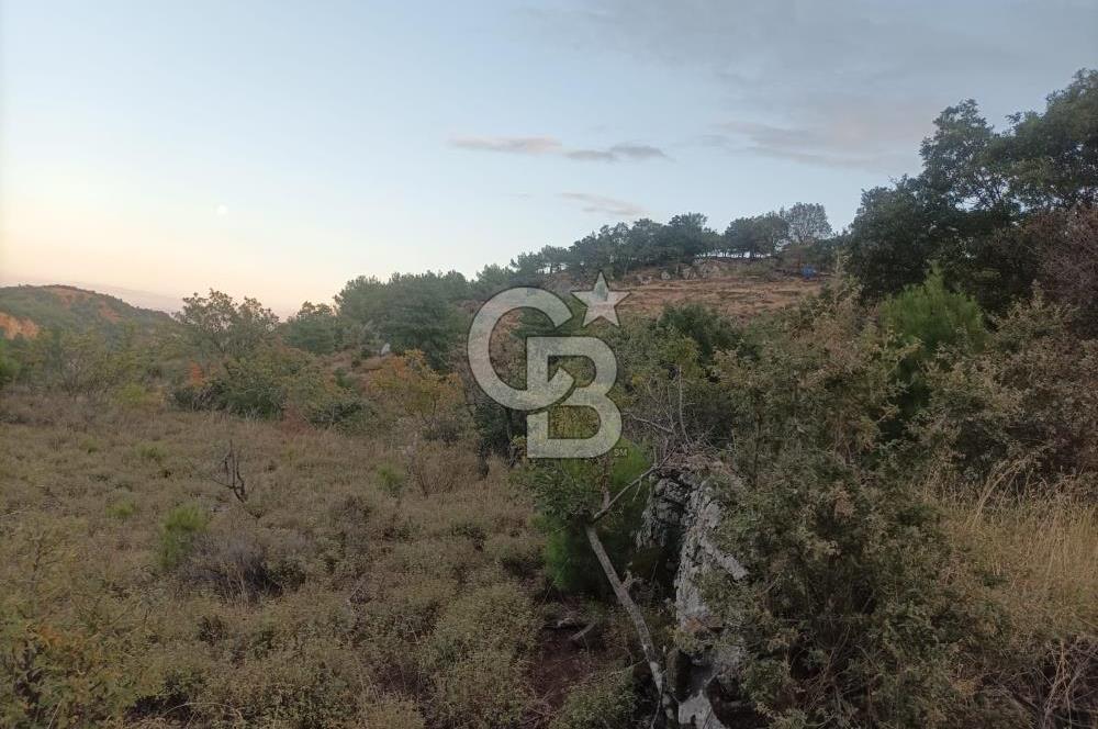 ÇANAKKALE AYVACIK AHMETÇE KÖYÜNDE SATILIK 15201M2 TEKTAPU İMARLI