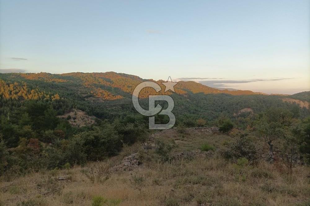 ÇANAKKALE AYVACIK AHMETÇE KÖYÜNDE SATILIK 15201M2 TEKTAPU İMARLI