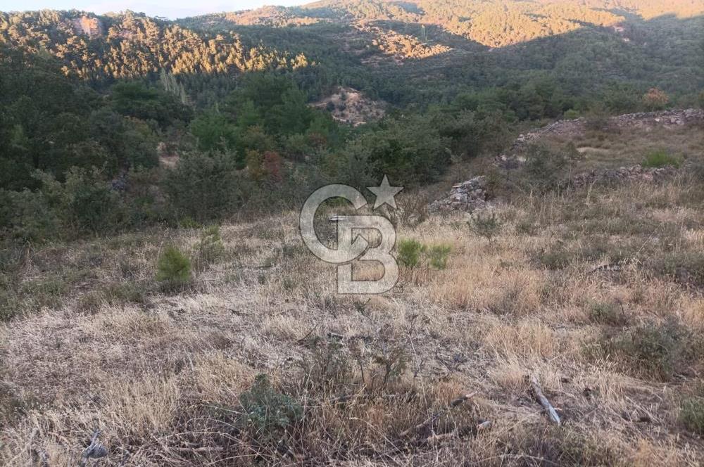 ÇANAKKALE AYVACIK AHMETÇE KÖYÜNDE SATILIK 15201M2 TEKTAPU İMARLI
