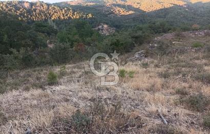 ÇANAKKALE AYVACIK AHMETÇE KÖYÜNDE SATILIK 15201M2 TEKTAPU İMARLI