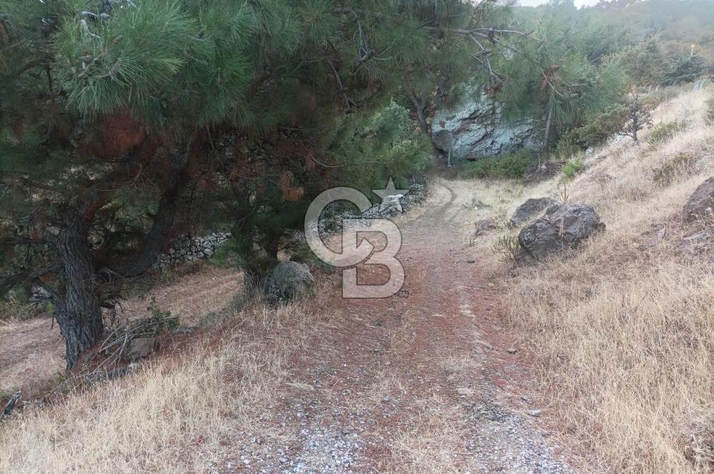 ÇANAKKALE AYVACIK AHMETÇE KÖYÜNDE SATILIK 15201M2 TEKTAPU İMARLI