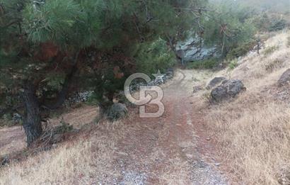 ÇANAKKALE AYVACIK AHMETÇE KÖYÜNDE SATILIK 15201M2 TEKTAPU İMARLI