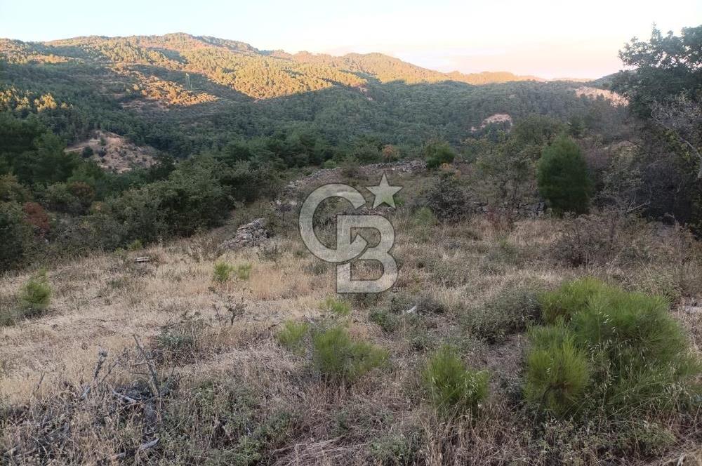 ÇANAKKALE AYVACIK AHMETÇE KÖYÜNDE SATILIK 15201M2 TEKTAPU İMARLI