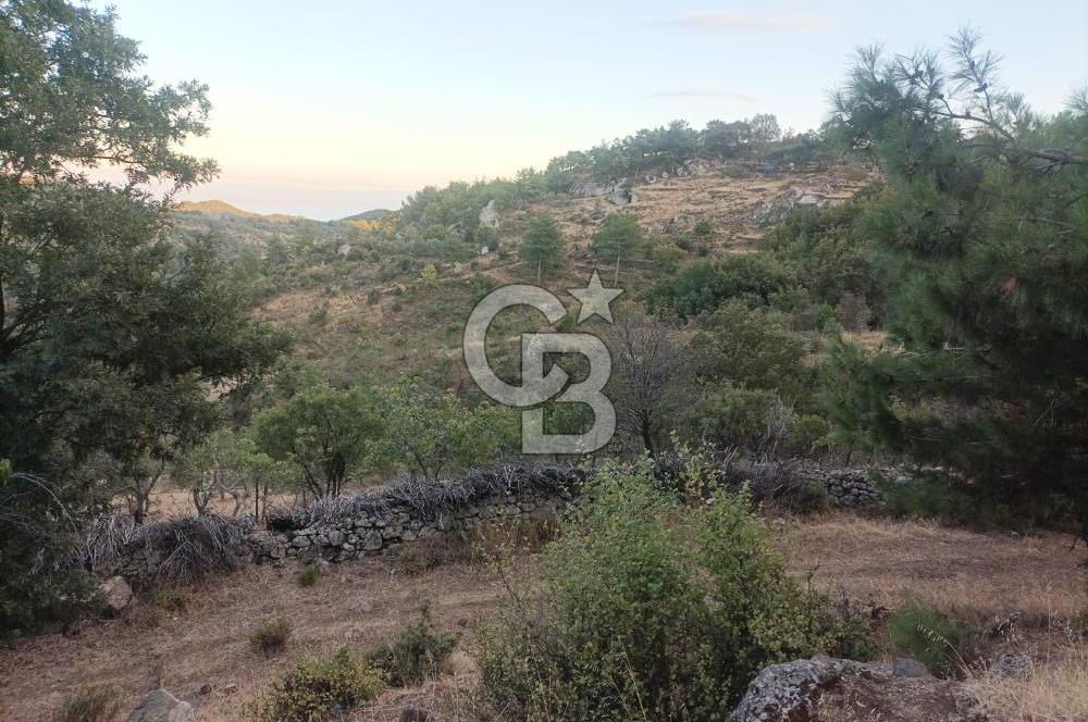ÇANAKKALE AYVACIK AHMETÇE KÖYÜNDE SATILIK 15201M2 TEKTAPU İMARLI