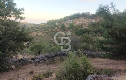 ÇANAKKALE AYVACIK AHMETÇE KÖYÜNDE SATILIK 15201M2 TEKTAPU İMARLI