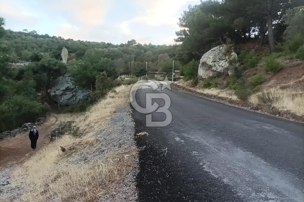 ÇANAKKALE AYVACIK AHMETÇE KÖYÜNDE SATILIK 15201M2 TEKTAPU İMARLI