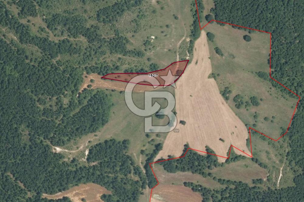 CB ÖMER ÜNSAL'DAN 1200 m² ACİL SATILIK PARSEL