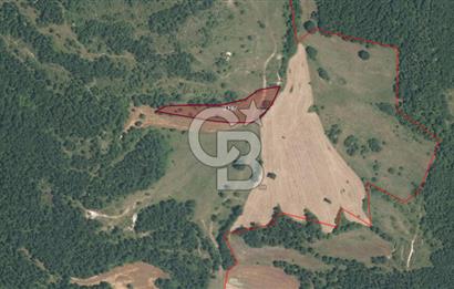 CB ÖMER ÜNSAL'DAN 1200 m² ACİL SATILIK PARSEL