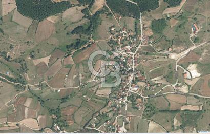 CB ÖMER ÜNSAL'DAN 1200 m² ACİL SATILIK PARSEL
