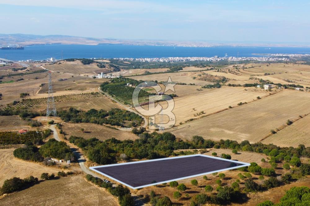 Çanakkale Lapseki Kocaveli Köprü Ve Boğaz Manzaralı 7734m² Tarla