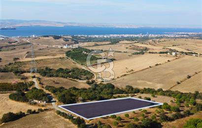 Çanakkale Lapseki Kocaveli Köprü Ve Boğaz Manzaralı 7734m² Tarla