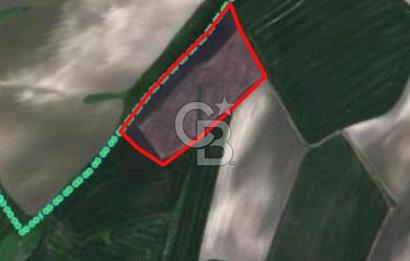 ARNAVUTKOY HADIMKOY SAZLIBOSNADA LANAL İSTANBUL MANZARALI 490M2 TARLA HİSSESİ