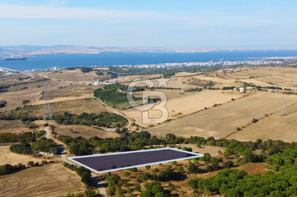 Çanakkale Lapseki Kocaveli Köprü Ve Boğaz Manzaralı 7734m² Tarla