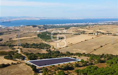 Çanakkale Lapseki Kocaveli Köprü Ve Boğaz Manzaralı 7734m² Tarla
