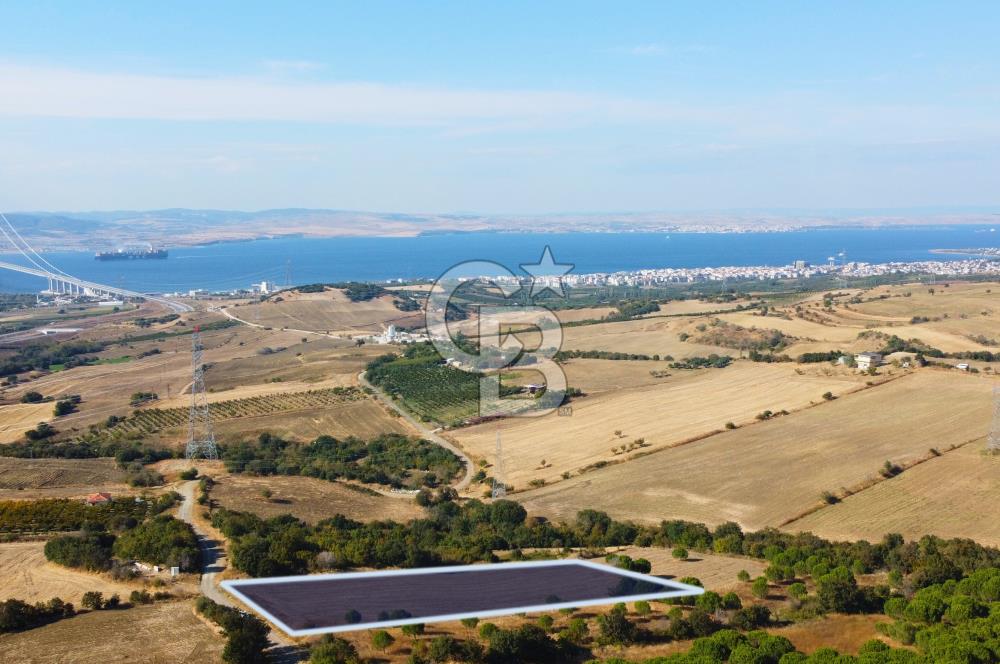 Çanakkale Lapseki Kocaveli Köprü Ve Boğaz Manzaralı 7734m² Tarla