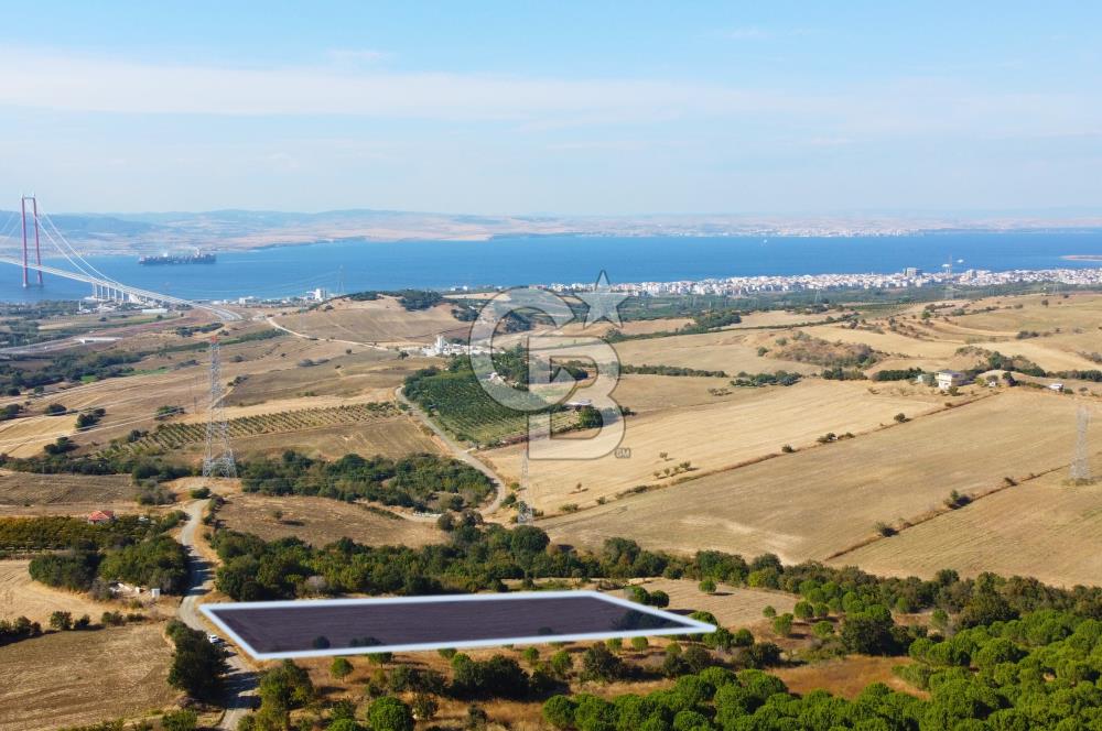 Çanakkale Lapseki Kocaveli Köprü Ve Boğaz Manzaralı 7734m² Tarla