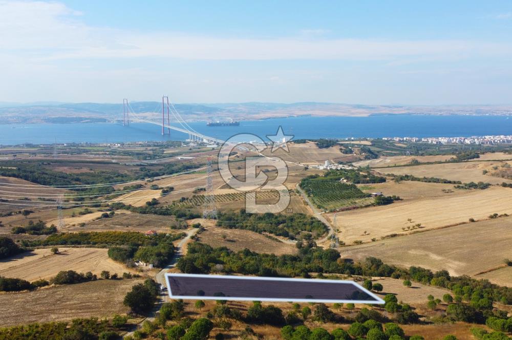 Çanakkale Lapseki Kocaveli Köprü Ve Boğaz Manzaralı 7734m² Tarla
