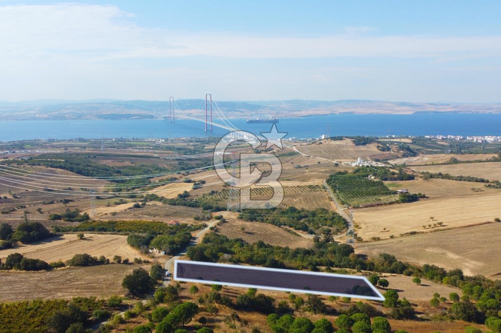 Çanakkale Lapseki Kocaveli Köprü Ve Boğaz Manzaralı 7734m² Tarla