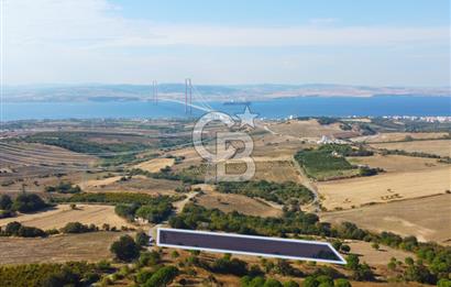 Çanakkale Lapseki Kocaveli Köprü Ve Boğaz Manzaralı 7734m² Tarla