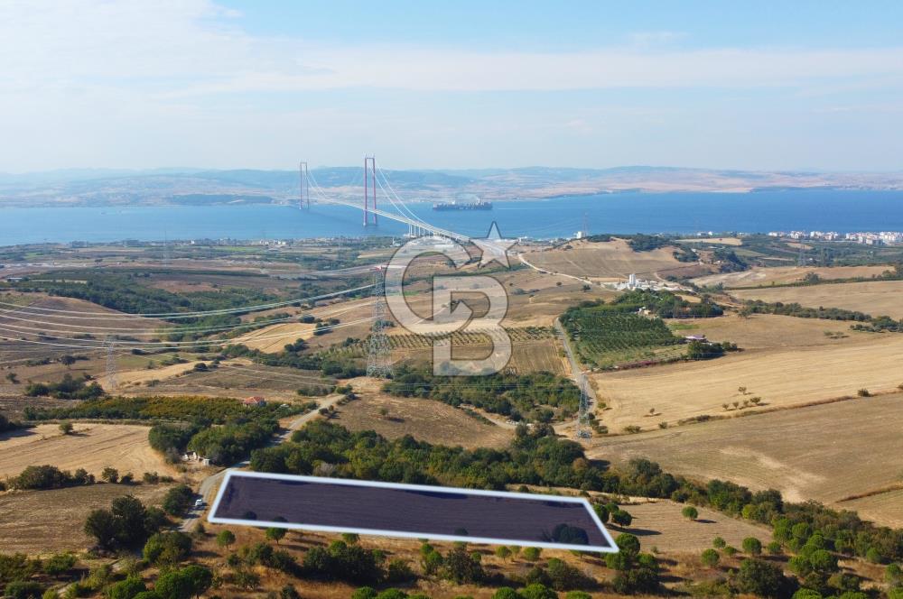 Çanakkale Lapseki Kocaveli Köprü Ve Boğaz Manzaralı 7734m² Tarla
