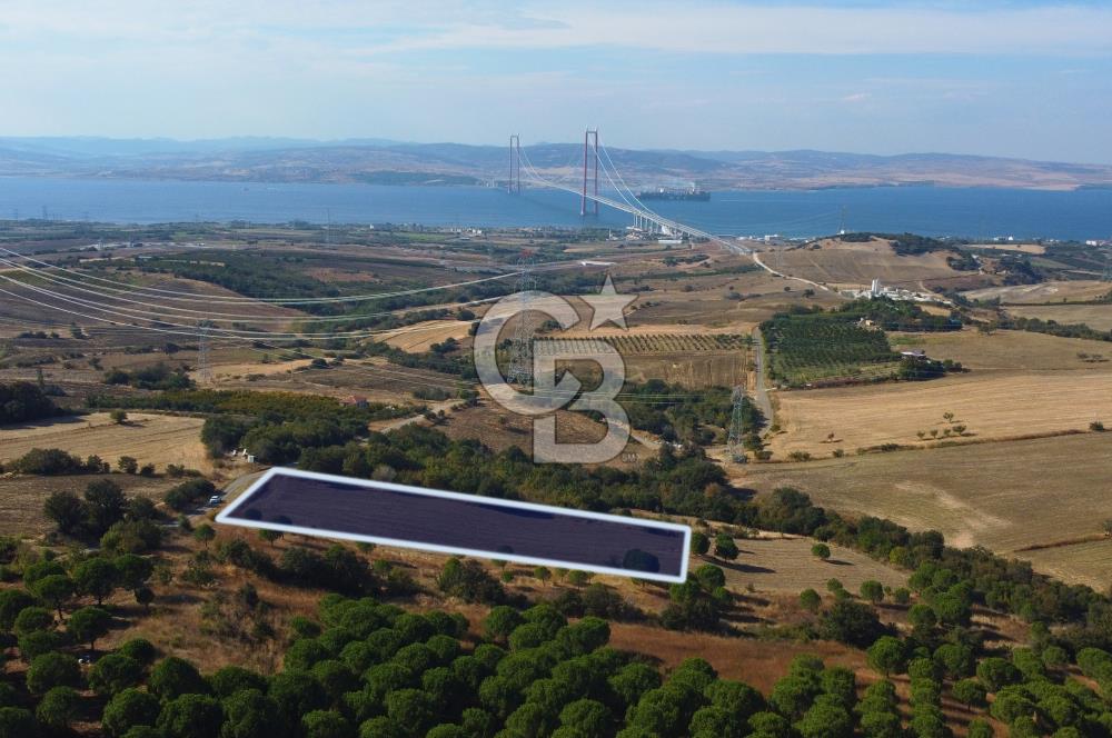 Çanakkale Lapseki Kocaveli Köprü Ve Boğaz Manzaralı 7734m² Tarla