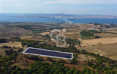 Çanakkale Lapseki Kocaveli Köprü Ve Boğaz Manzaralı 7734m² Tarla
