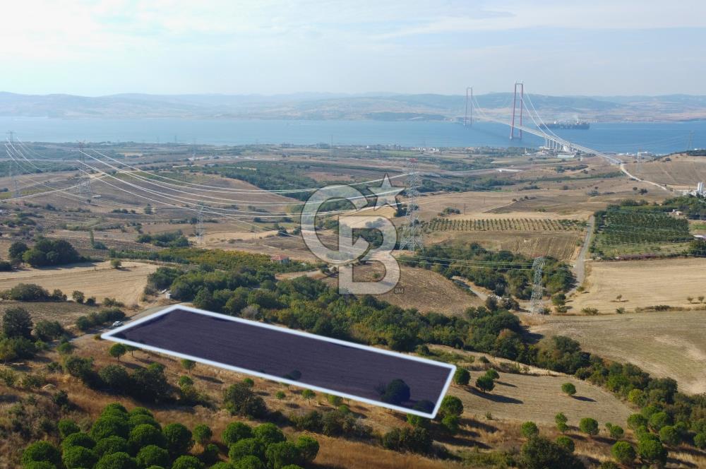 Çanakkale Lapseki Kocaveli Köprü Ve Boğaz Manzaralı 7734m² Tarla