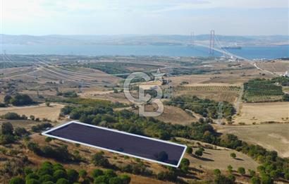 Çanakkale Lapseki Kocaveli Köprü Ve Boğaz Manzaralı 7734m² Tarla