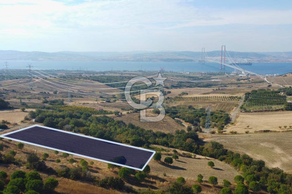 Çanakkale Lapseki Kocaveli Köprü Ve Boğaz Manzaralı 7734m² Tarla